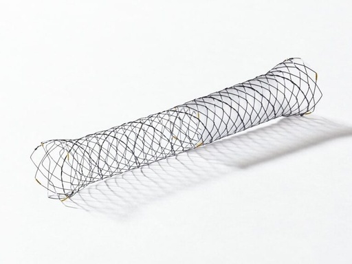 [NST03-002-10.080] PROTESIS BILIAR PARCIALMENTE CUBIERTA 